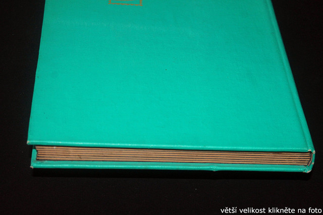 IMG-3267.jpg