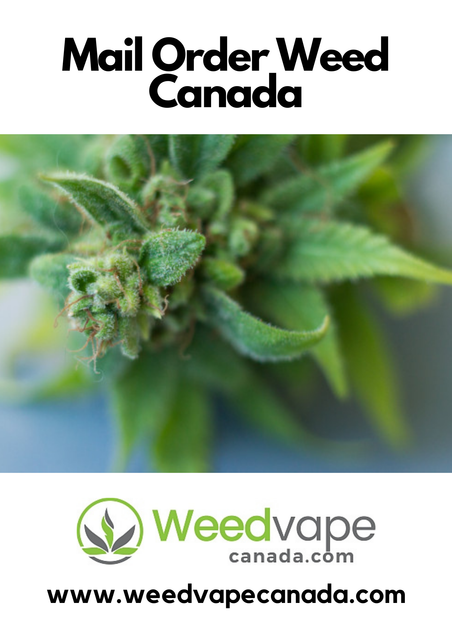 Main-Order-Weed-Canada-27.png