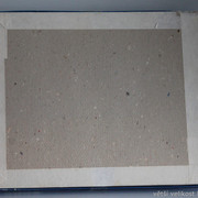 IMG-2891