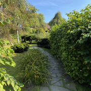 IMG-0570