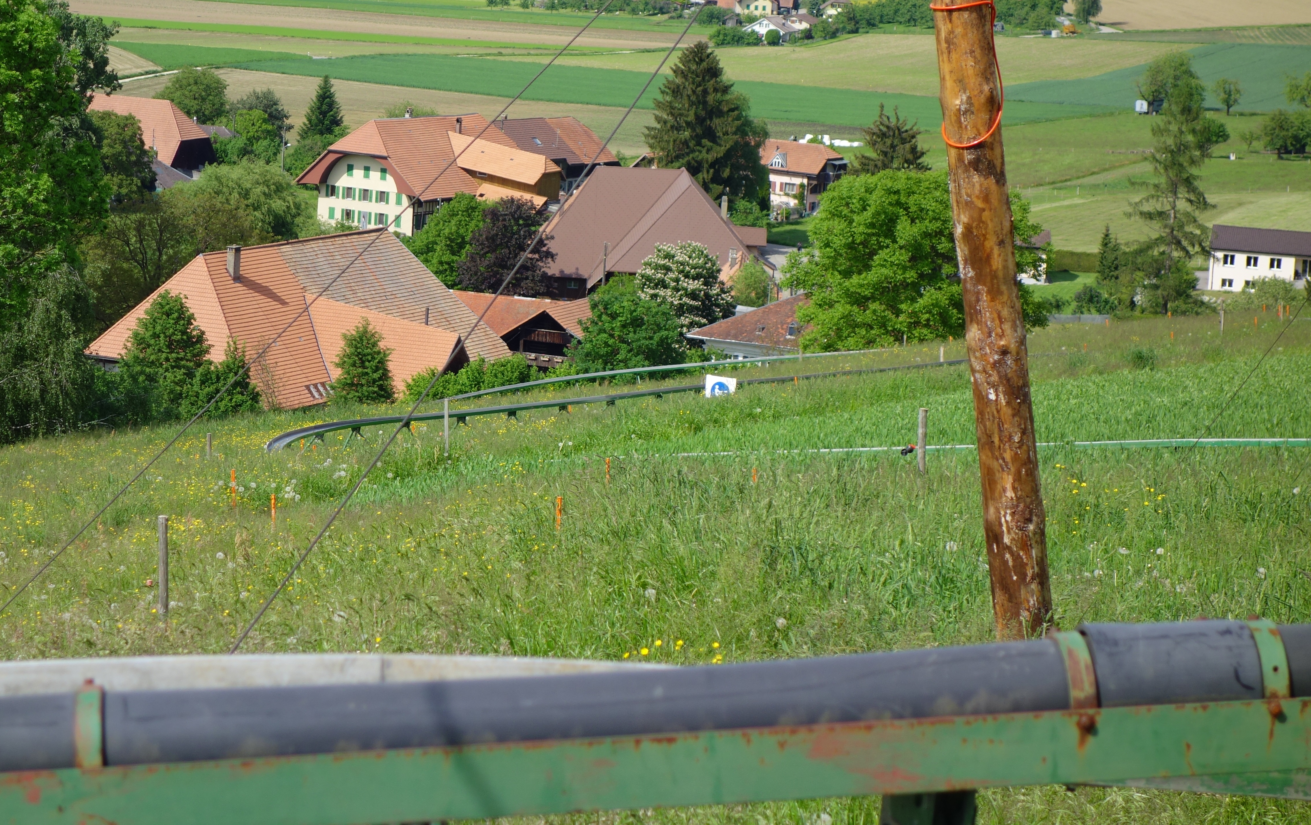 DSC00916
