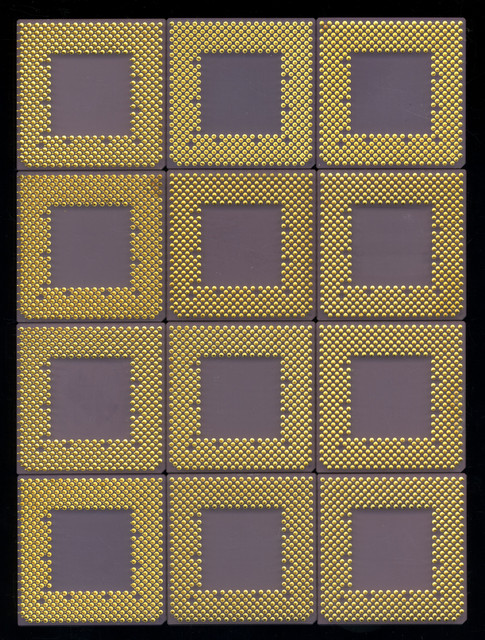 00559.jpg