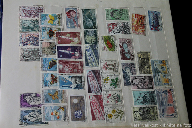 IMG-6974.jpg