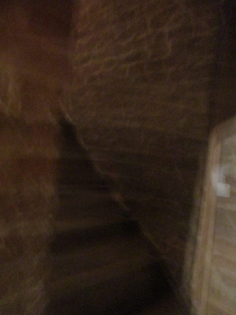 IMG-6929