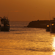 IMG-3087