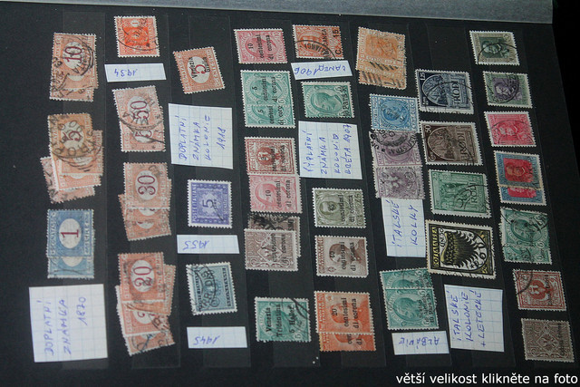 IMG-3664.jpg