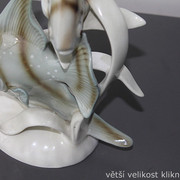 IMG-7904