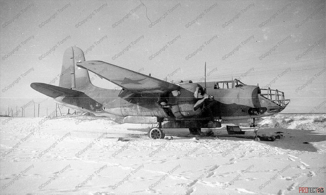 s-l1600