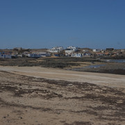DSCF8320
