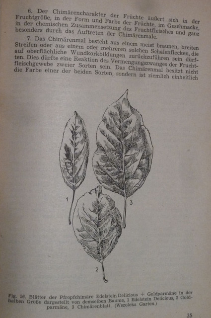 P1220578