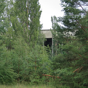 IMG-6038