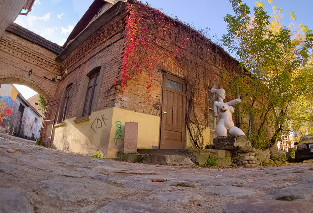 OLYMPUS-DIGITAL-CAMERA.jpg