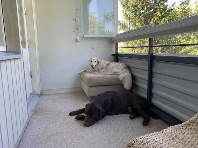 82897-A53-3806-4-AB2-B14-F-BCDA8-FF5-E0-