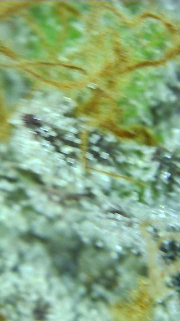 WP-4.jpg
