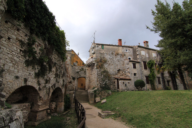 IMG-9739.jpg