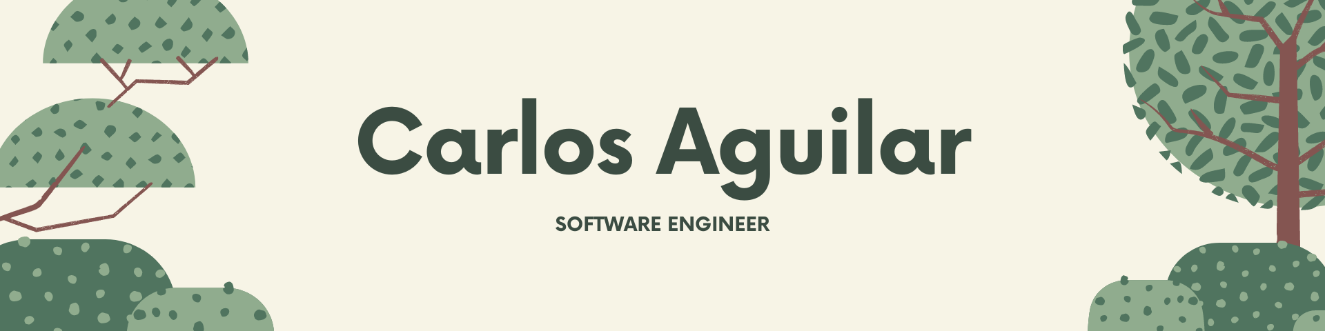 Carlosagdu