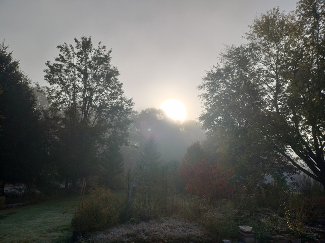 Fog