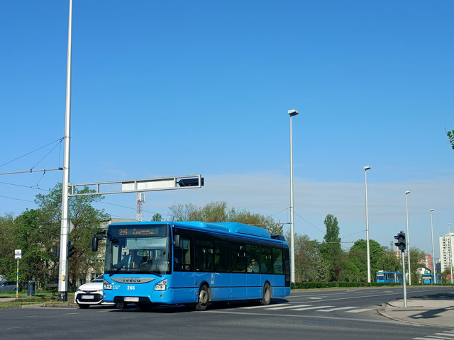 265 na 236.jpg