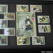 IMG-2264