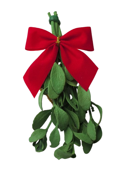 mistletoe-removebg-preview.png