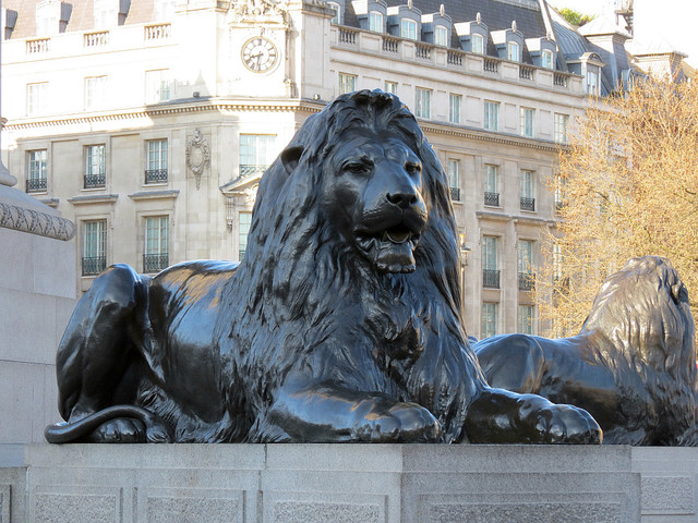 Lion.jpg