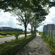P1330016