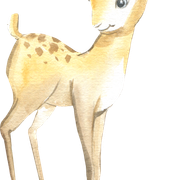 fawn2