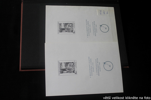 IMG-2362.jpg