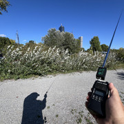 IMG-3204