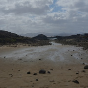 DSCF8668