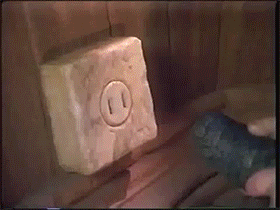 dinosaurdance.gif