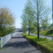 DSC-0034