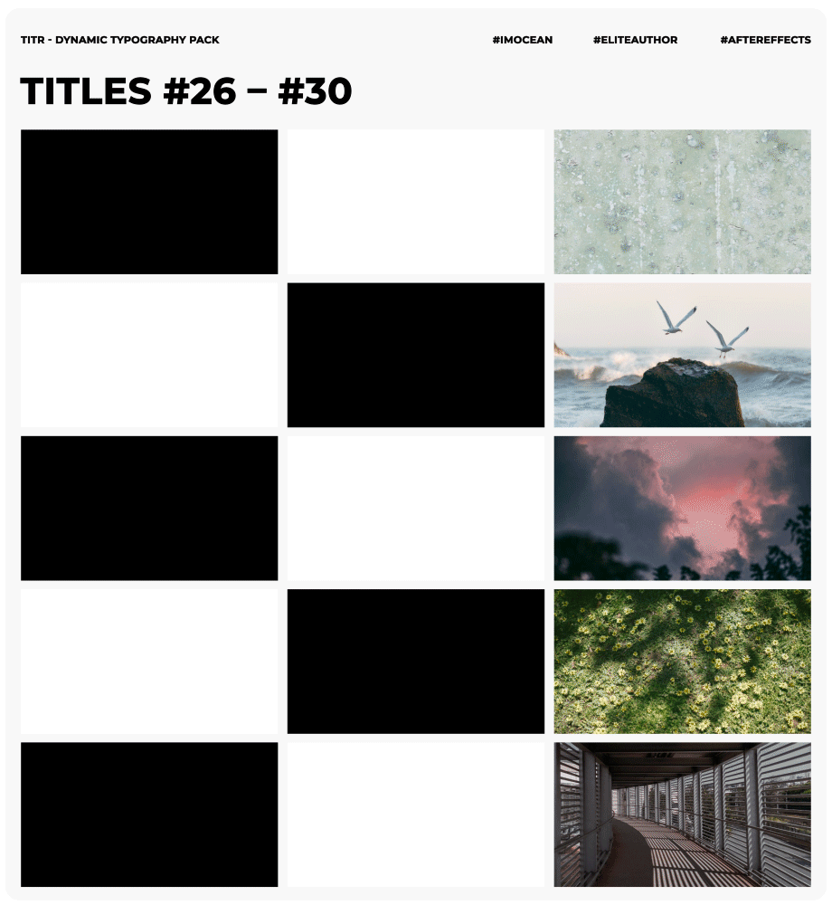 TITR | Dynamic Typography Pack - 13