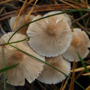 P1130648