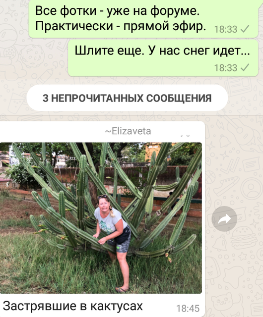 Screenshot-20181216-184934