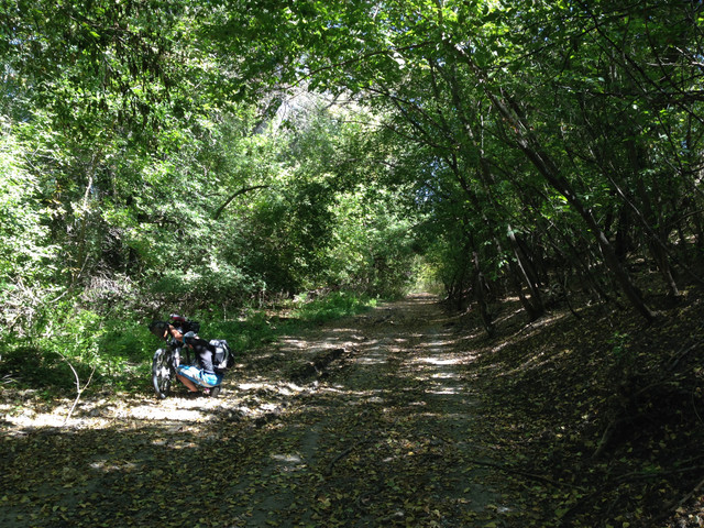 IMG-4157.jpg