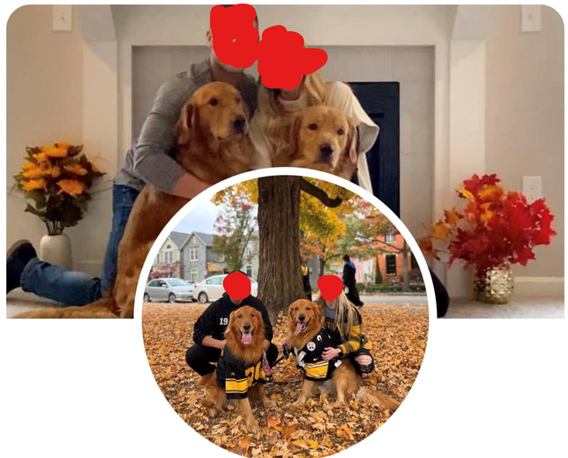 doggies