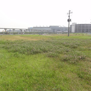 2011-07-03-23