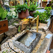 猫猫寺2