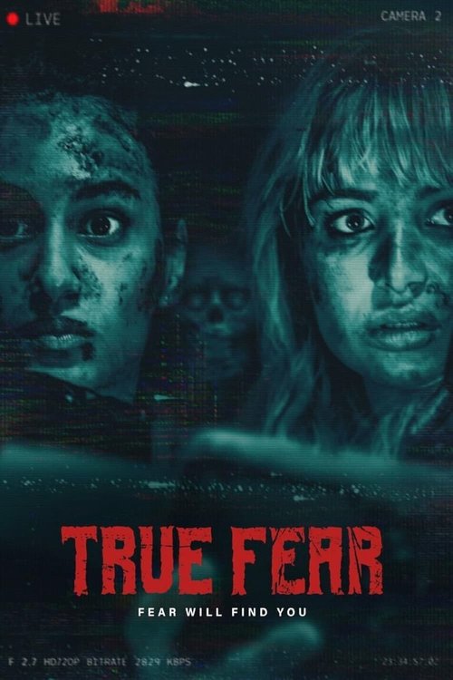 Prawdziwy Strach / True Fear (2024) 1080p.WEB-DL.H264.AC3.2.0.BP007 | Lektor PL