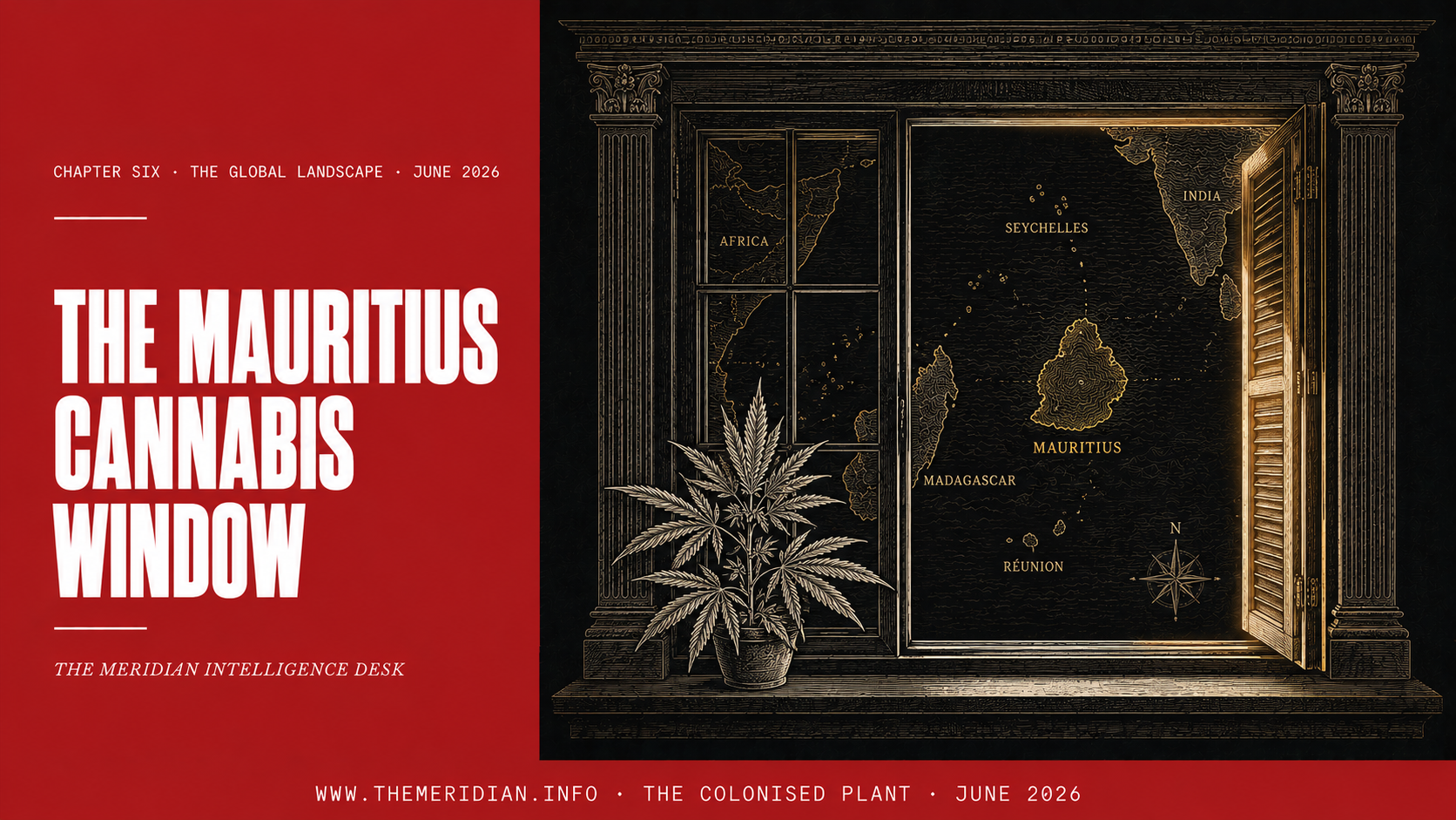 The Mauritius Cannabis Window First Mover or Last Laggard The Meridian