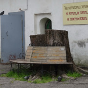 DSC05802-5