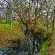 DSCN4961