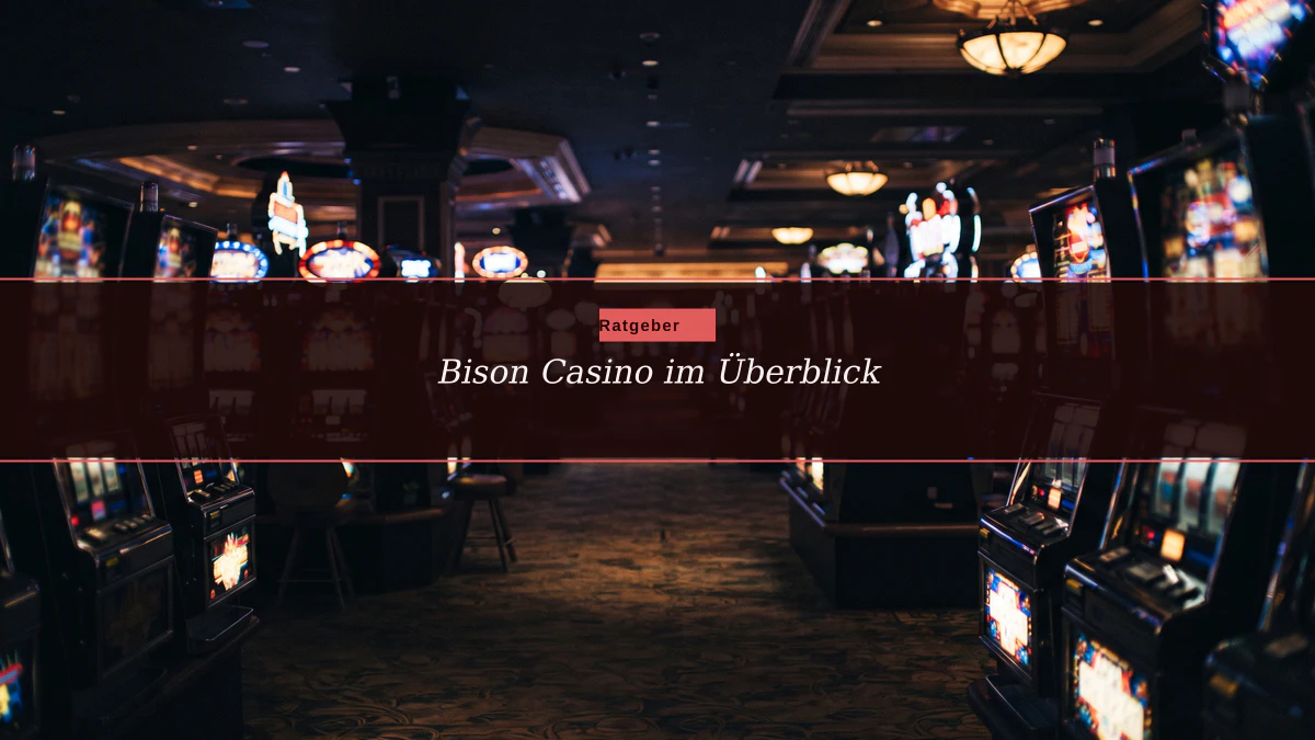 Bison Casino im Überblick
