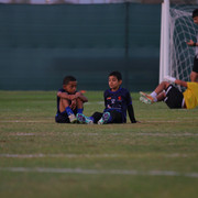 IMG 8871