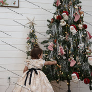 IMG 4075