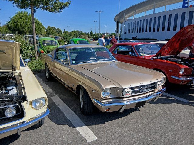 Mustang-Fast-Back