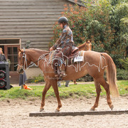 IMG-6753