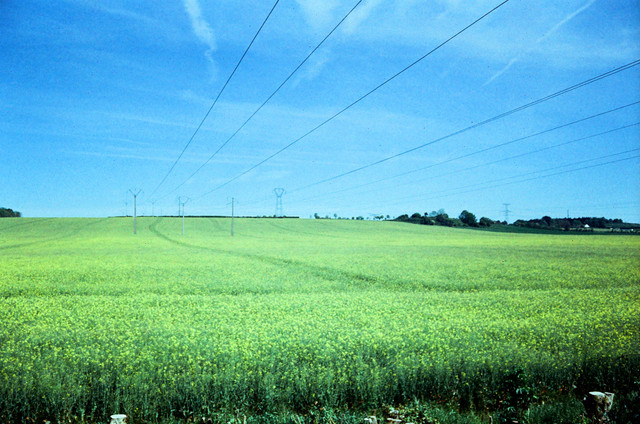 IMG 2170.jpg