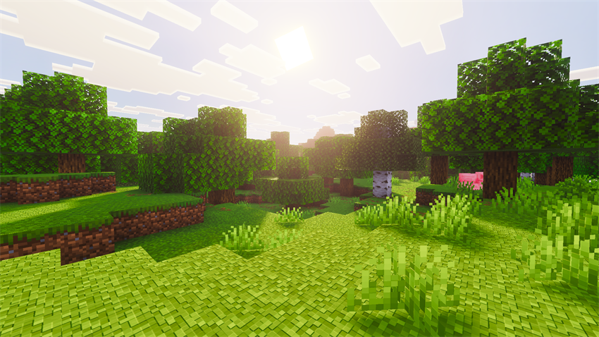 forest sunlight animals